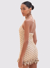 Camila Mesh Mini Dress