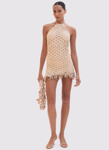 Camila Mesh Mini Dress