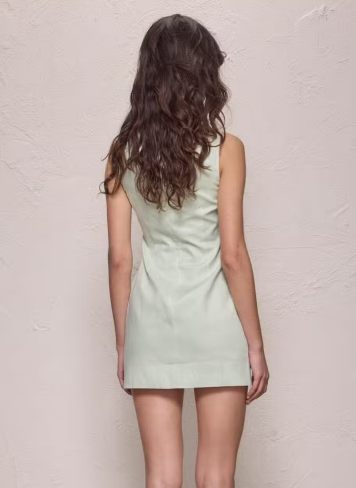 Shani Mini Dress